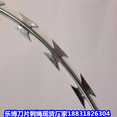 甘肅鍍鋅刺繩廠家 慶陽(yáng)防爬網(wǎng) 定西防護(hù)網(wǎng)