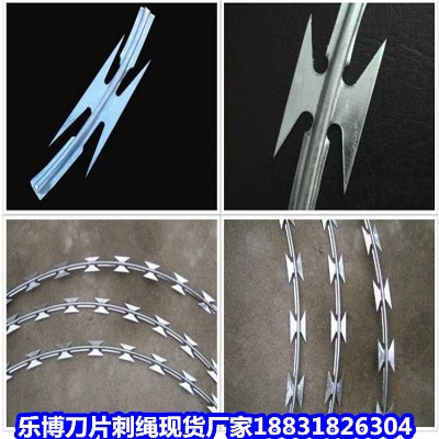 �����\���K�S�� ��ꖷ��I�̎� �~�����I�̝L�\