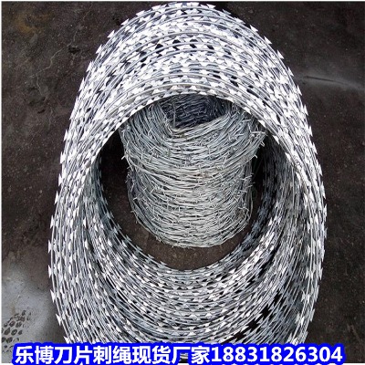 ������\���K�S�� ���~���������� �R�߷��I��