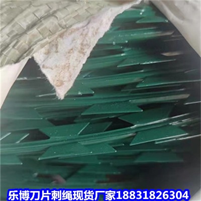 �V����\���K�S�� �������P䓵�Ƭ�̽z ���Ǹ���\��Ƭ�̾W