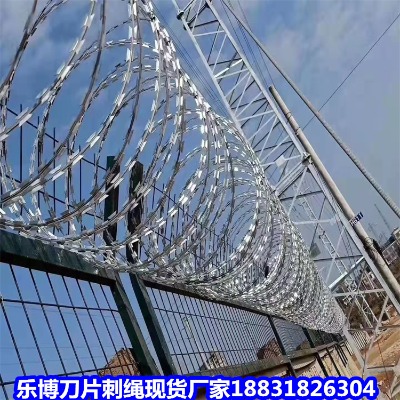 ������\���K�S�� �Lɳ�������S�����W ���޲��P䓴̾W