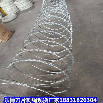 湖南鍍鋅刺繩廠家 懷化防爬刺圍墻 寧鄉(xiāng)防護(hù)網(wǎng)
