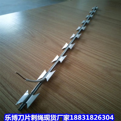 ������\���K�S�� �G�ݵ�Ƭ���K �S����Ƭ�̾W