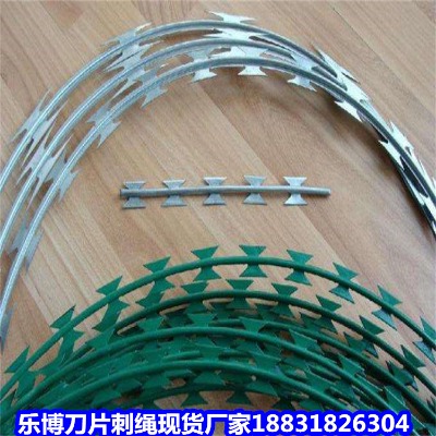 湖北鍍鋅刺繩廠家 老河口防爬網(wǎng) 棗陽防護(hù)網(wǎng)