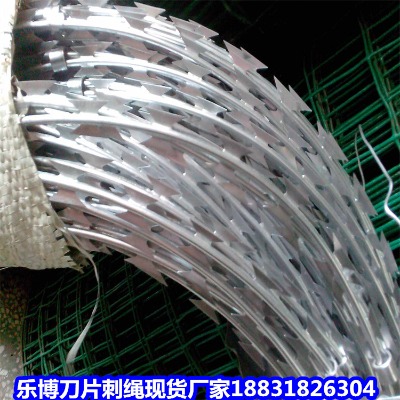 ������\���K�S�� �h�����I�̝L�\ ��ڇ������I�W