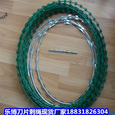 ������\���K�S�� ��x���������� �������I��