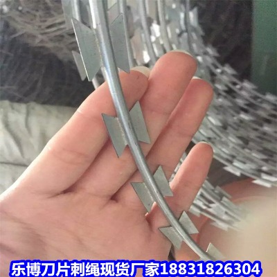 �½���\���K�S�� ������˹�LͲ��Ƭ���K �젖�շ��o���x�̾W