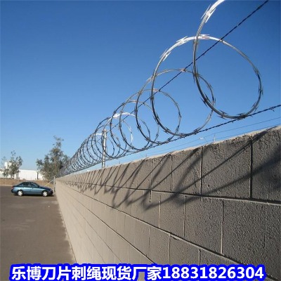 ɽ����\���K�S�� �x�ǵ�Ƭ�̽z�L�\ ���݇���������