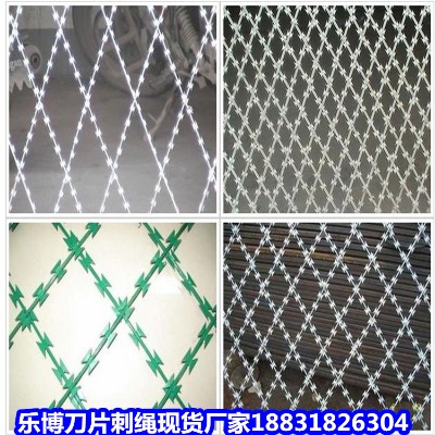 ������\���K�S�� �������I�̝L�\ ������\���P���I�W