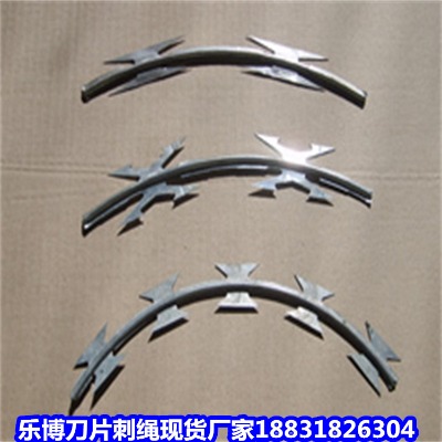 ������\���K�S�� �������������� �������I��