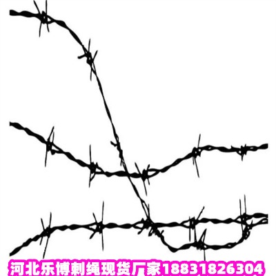 �Ĵ���\���K�S�� �V�����x�o�ھW ���Ї���������