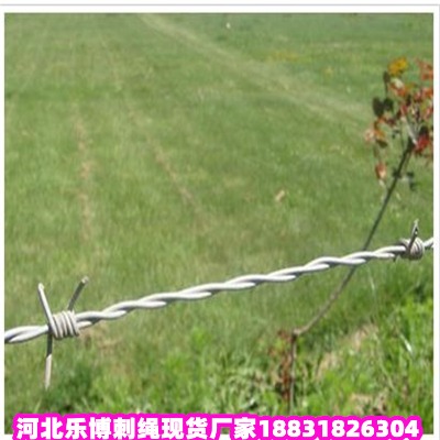 �Ĵ���\���K�S�� ¡���F��޼���x ��üɽ��\�����F�z�W