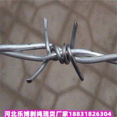 ������\���K�S�� ���ݵ�·�B�o�F�z�W ��䓵�·�B�o䓽z�W