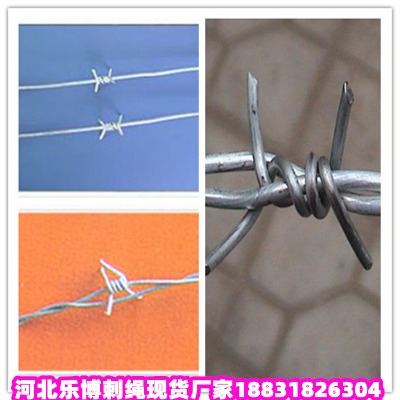 ɽ�|��\���K�S�� ̩���Gɫ�д��F�z�W �����Gɫ�F��޼