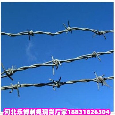 �|����\���K�S�� �\��2���ײ�ԭ߅�����