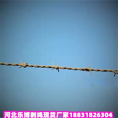 �㽭��\���K�S�� ����14̖Ȧ���д��F�z�W