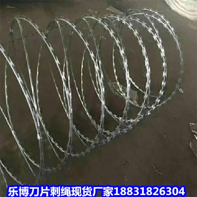 �Ĵ���\���K�S�� ��üɽ�F·���o���K ��в��P䓵�Ƭ�̾W