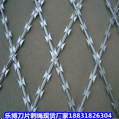 �½���\���K�S�� ���͟���\������Ƭ���K �F�T�P���o��Ƭ�̾W