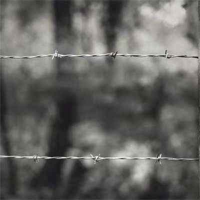 �ӱ�����\���K�F؛�S�ҏV�����x�o�ھW