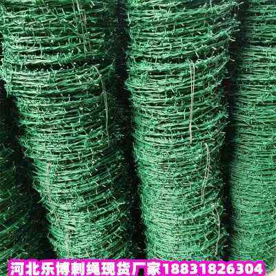 安平熱鍍鋅刺繩現(xiàn)貨廠家河北圈地鋼絲網(wǎng)滄州圈地刺鐵絲