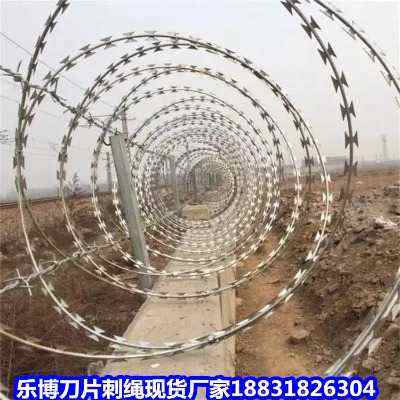 �ӱ�����\��Ƭ���K�F؛�S�Ҽ��ֵ�Ƭ�L�\�W���LͲ��Ƭ���K