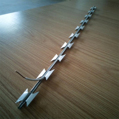 ������\��Ƭ�̽z�L�\�S����ꖵ�Ƭ�̽z�L�\