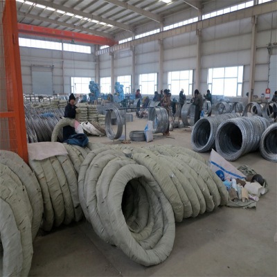 �Ϸ���\��Ƭ�̽z�L�\�S�����Ǹ��F�̽z�L�\