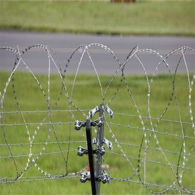 ������\��Ƭ�̽z�L�\�S�����ݝL�\�F�z�W(w��ng)