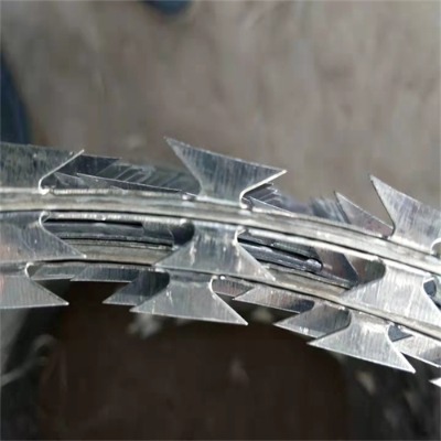 ����ľ�R��\��Ƭ���K�S�ұ��ͷ��I��Ƭ���K�F�T�P��\�������K