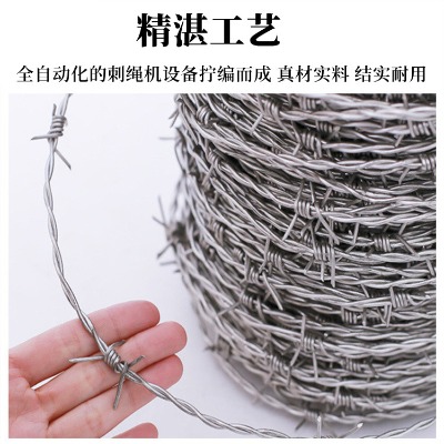 �V���̾����F�z���