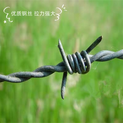 �F���\�д��F�z�W�S��