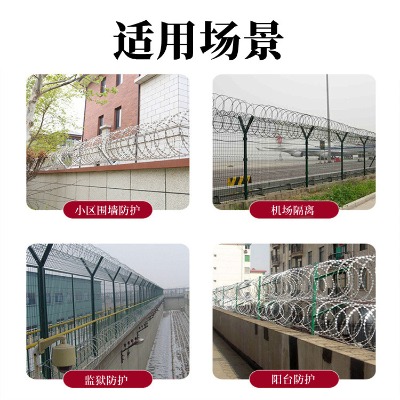 �����O�z���I�W�DƬ