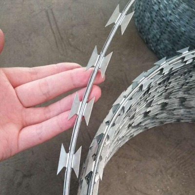 �������o�řڴ̽z�L�\���ܴ��K�W(w��ng)���o������Ƭ���K