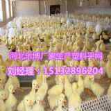 �Ͼ���ɫ����ƽ�W���K�Bֳ���ϾW�S��