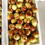 �������h�������l�r����h�����a�؃r��