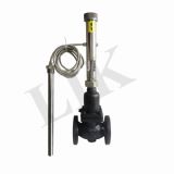 �M������ʽ�ض��{���y