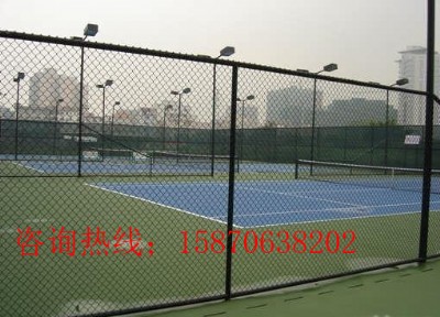 �����(zh��n)�w�������W(w��ng) �����h�ߠ��������ӆ��