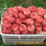 ���ë��Үa(ch��n)�����l(f��)������Үa(ch��n)�����l(f��)�r��