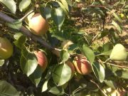 ������������l��Ϧꖼt��a�����l�r��