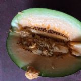 ��������۹��ܹϮa(ch��n)�؃r(ji��)������