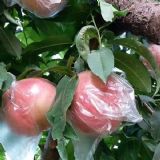 ���ë�ң���Խë�ң����u�����r��