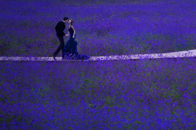 2017�����еĻ鼆�zӰ�L��