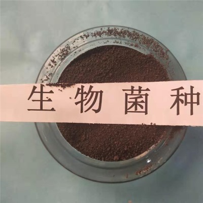 北京微生物復(fù)合菌種耐低溫抗沖擊性強(qiáng)廠家報(bào)價(jià)歡迎咨詢