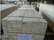 ɽ�|��Ѭ��ľ��LVL��Ѭ��ľ��lLVL 1850Ԫ