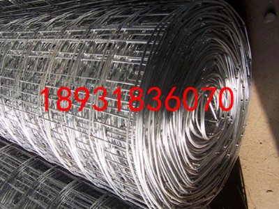 �＾Ȧ����늺��W(w��ng)���u%��ɫ�������P�늺��W(w��ng)%���P�늺��W(w��ng)��(j��ng)�