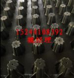 տ���G���Nֲ��ˮ�塪ʩ�����c�����Ԕԃ��