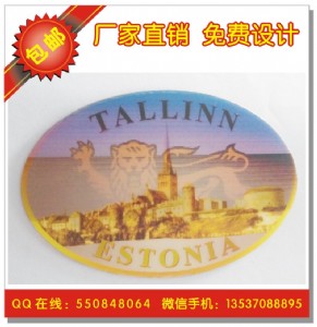 3d三維光柵片 3d立體畫 3d立體光柵片