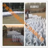 �����^�����X ���ό��ݵ������^���S��ֱ�N��