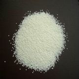 ��˾�������]�aƷ�һ���ѿ��