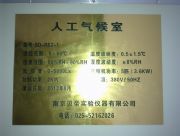 ����(y��ng)�F�(y��ng)BD-RSZϵ���˹������(�D)